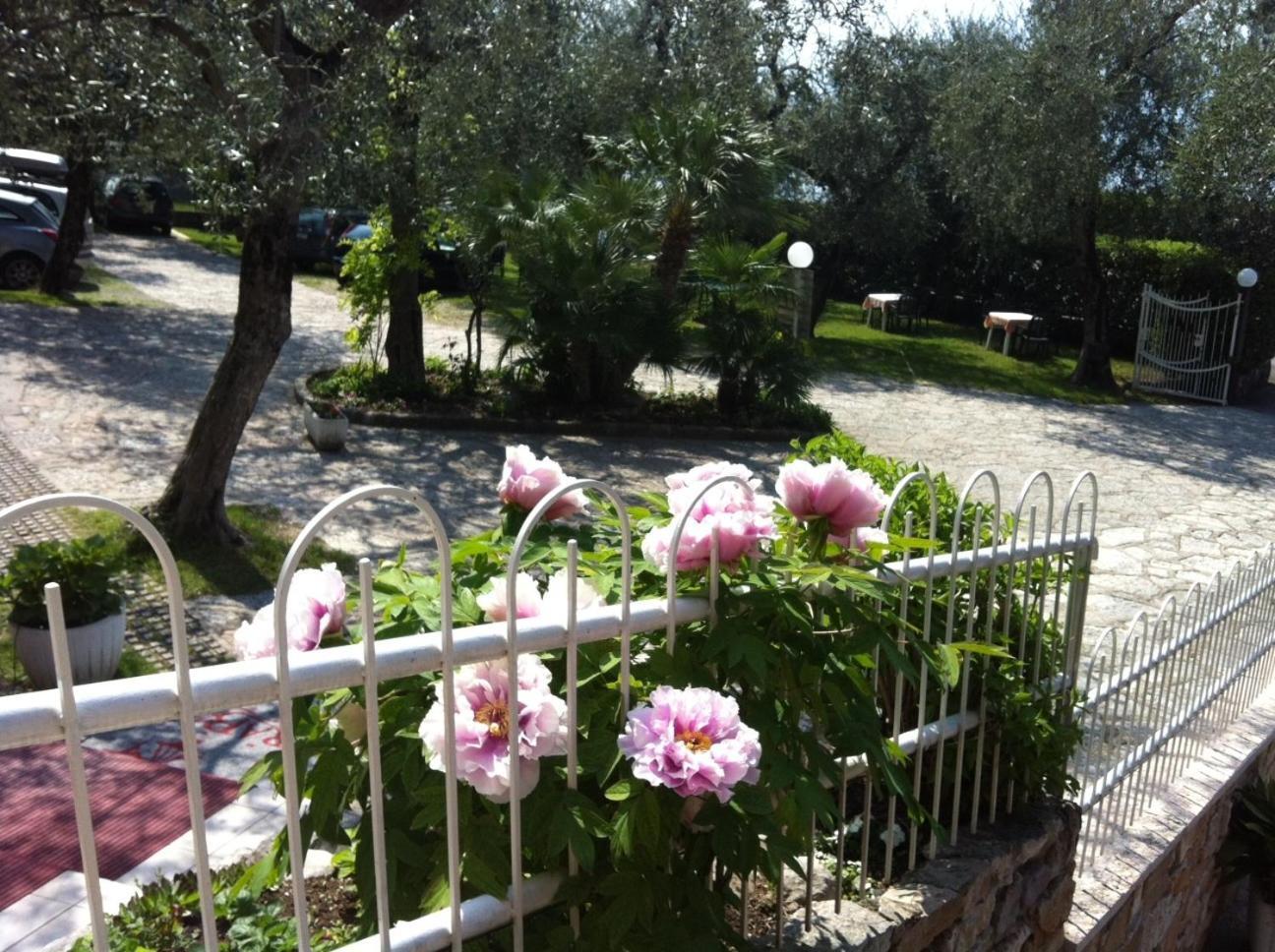 Hotel Rabay Brenzone sul Garda Bagian luar foto